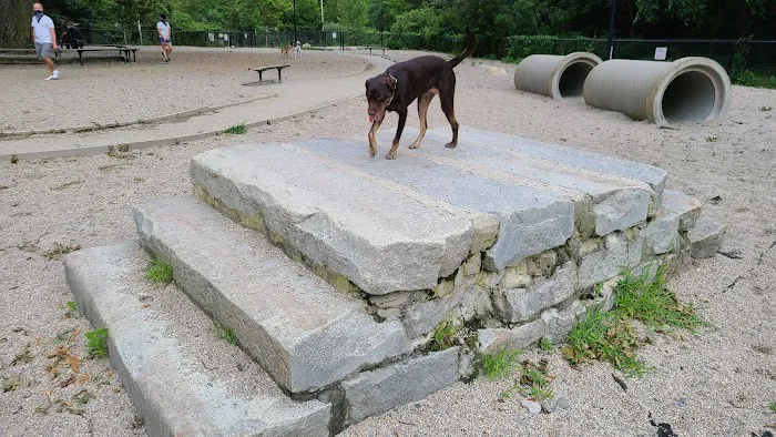 Thorndike Dog Park 1