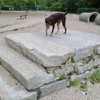 Thorndike Dog Park ico