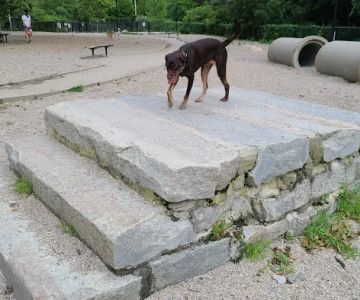 Thorndike Dog Park
