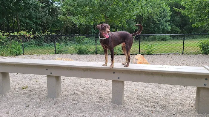 Thorndike Dog Park 4