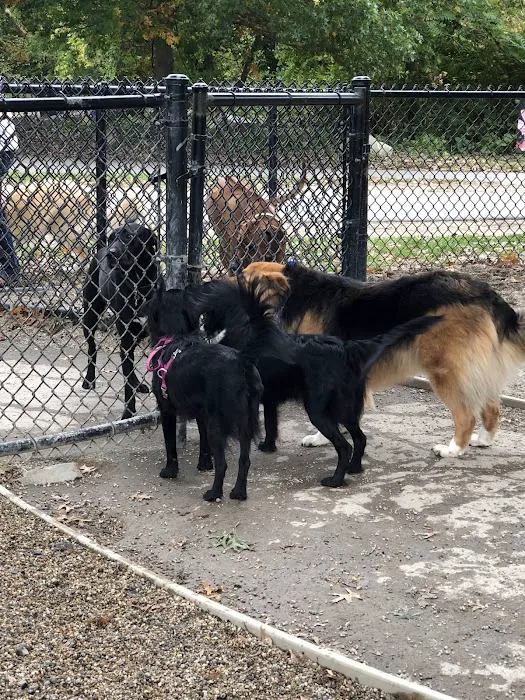 Thorndike Dog Park 9