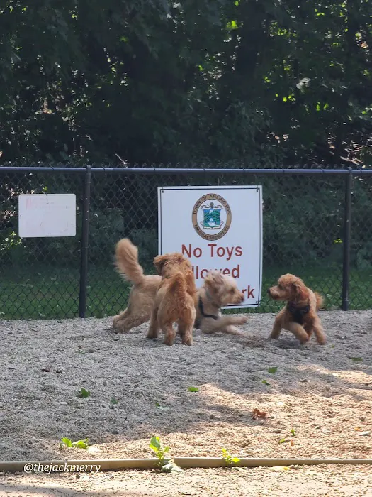 Thorndike Dog Park 5