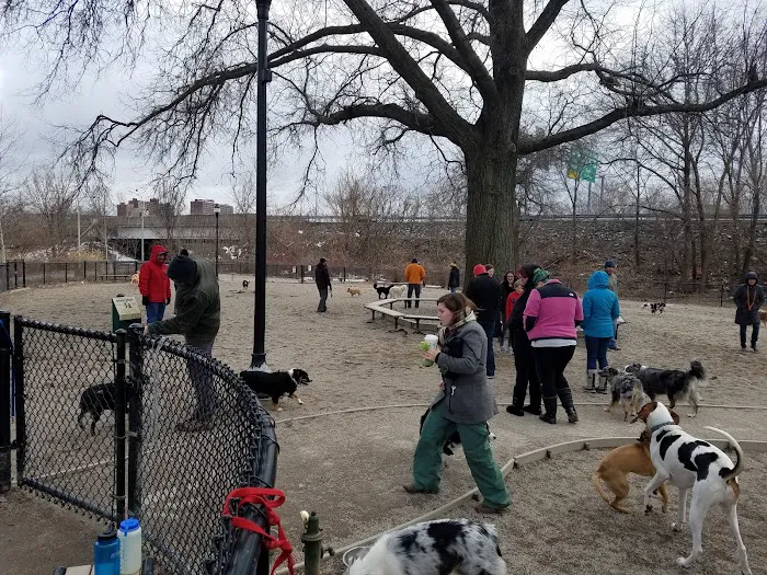 Thorndike Dog Park 10