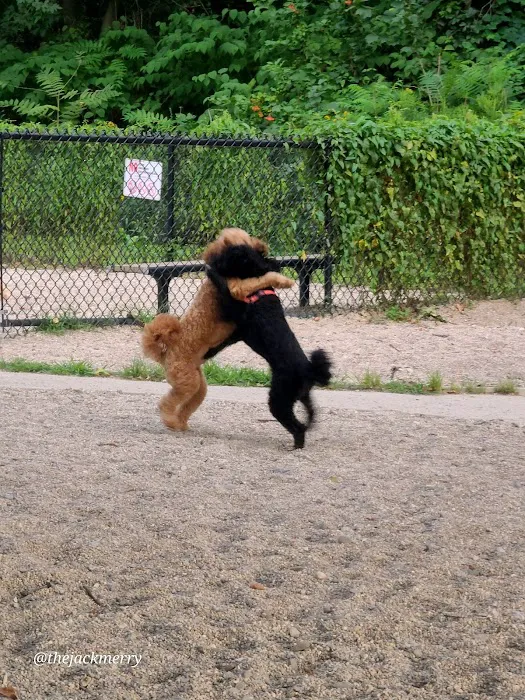 Thorndike Dog Park 6
