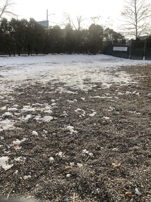Mansfield Street Dog Park 7