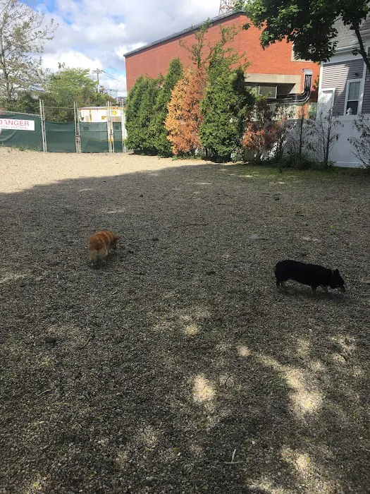 Mansfield Street Dog Park 1