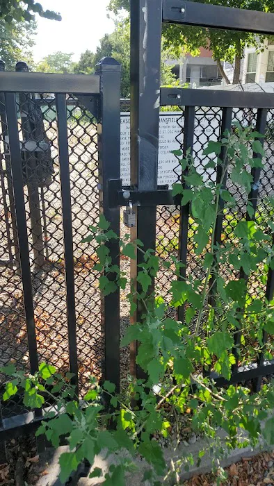 Mansfield Street Dog Park 4