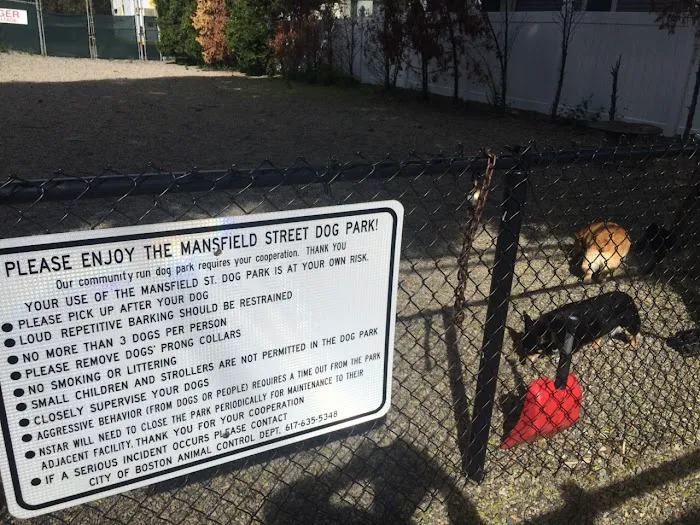 Mansfield Street Dog Park 6