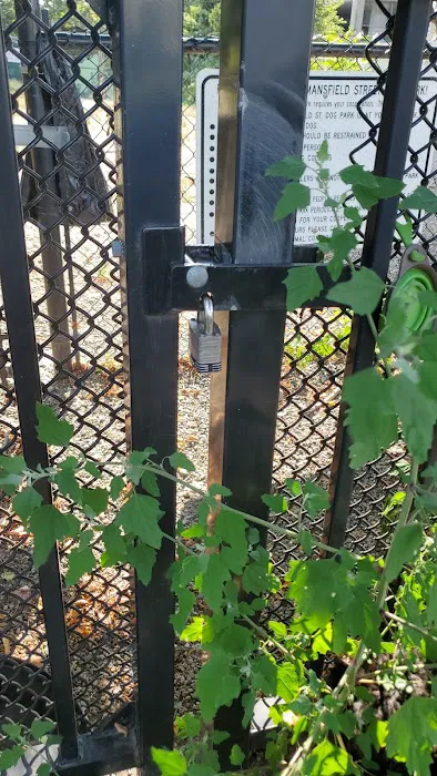 Mansfield Street Dog Park 2