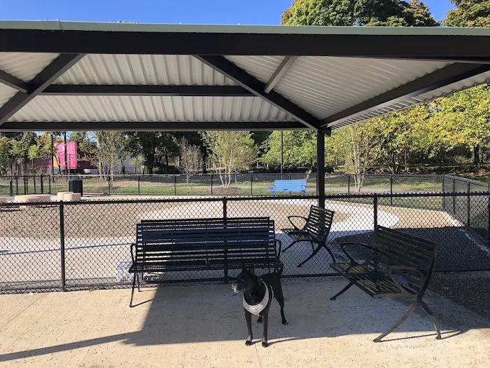 Soldiers Field Road Dog Park 5