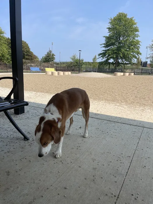 Soldiers Field Road Dog Park 2