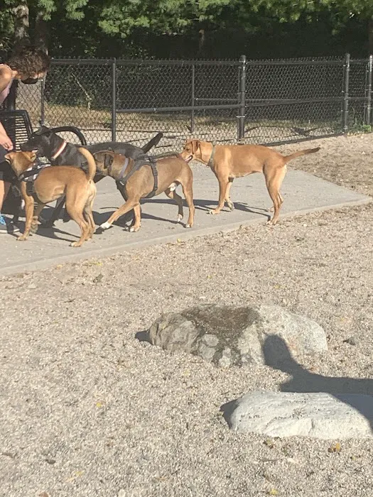Danehy Dog Park 4