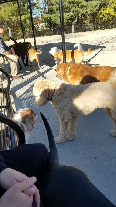 Danehy Dog Park 7