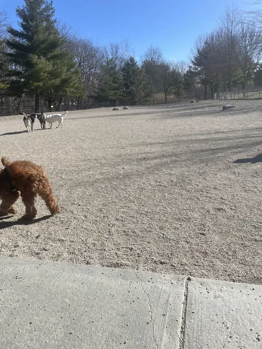 Danehy Dog Park 8