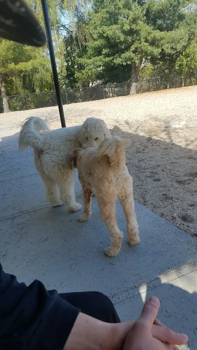 Danehy Dog Park 6
