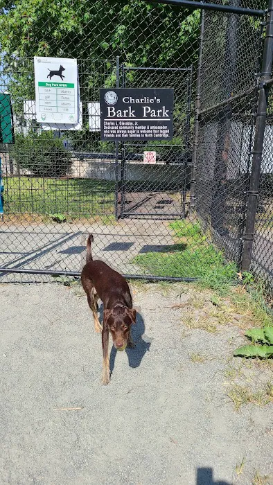Pemberton Street Dog Run 4