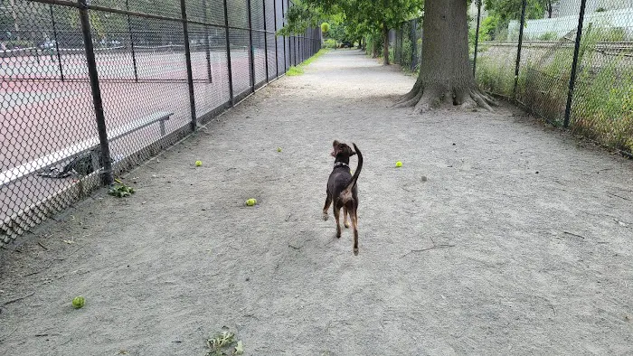 Pemberton Street Dog Run 7