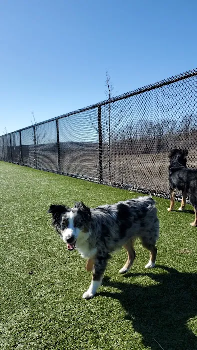 Quincy Dog Park 6