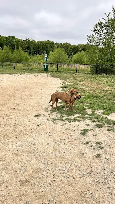South Field Dog Park - Union Point 4