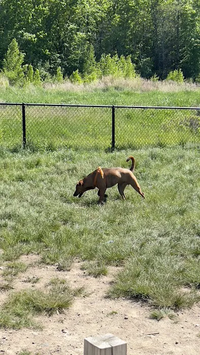 South Field Dog Park - Union Point 3