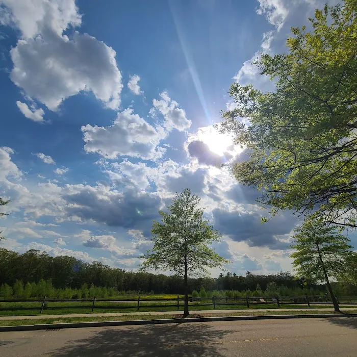 South Field Dog Park - Union Point 10