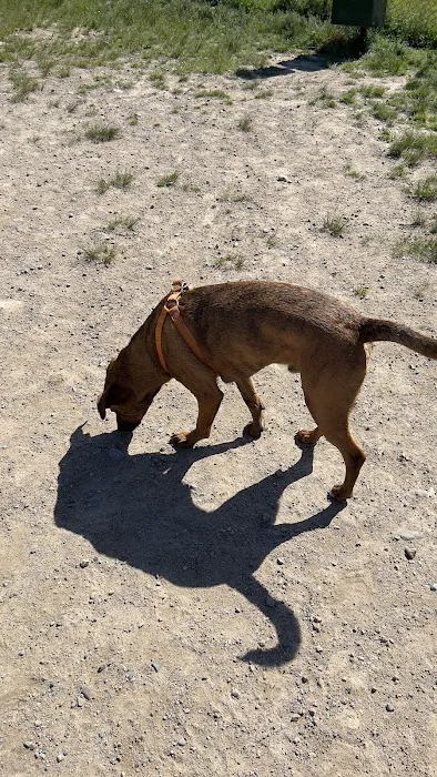 South Field Dog Park - Union Point 7