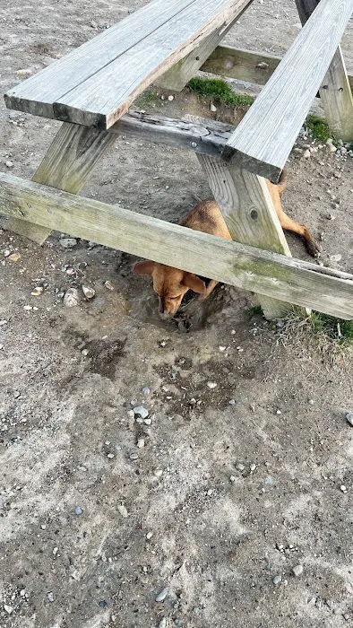 South Field Dog Park - Union Point 2