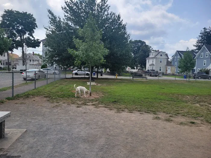 North Quincy Dog Park 2