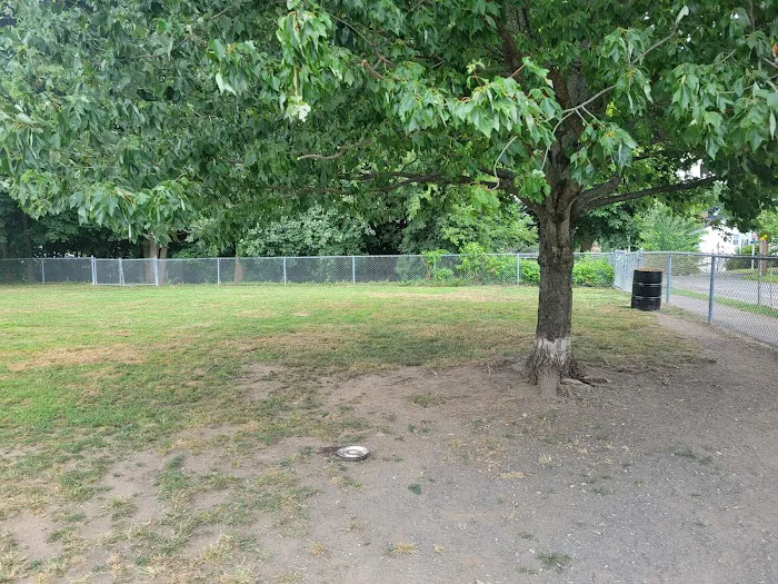 North Quincy Dog Park 4