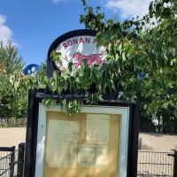 Ronan Dog Park ico