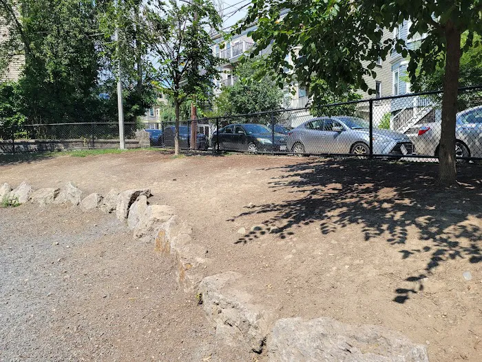 Dog Park at Downer Avenue Park 2