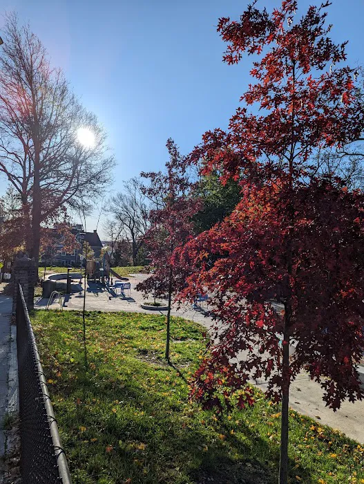 Dog Park at Downer Avenue Park 6