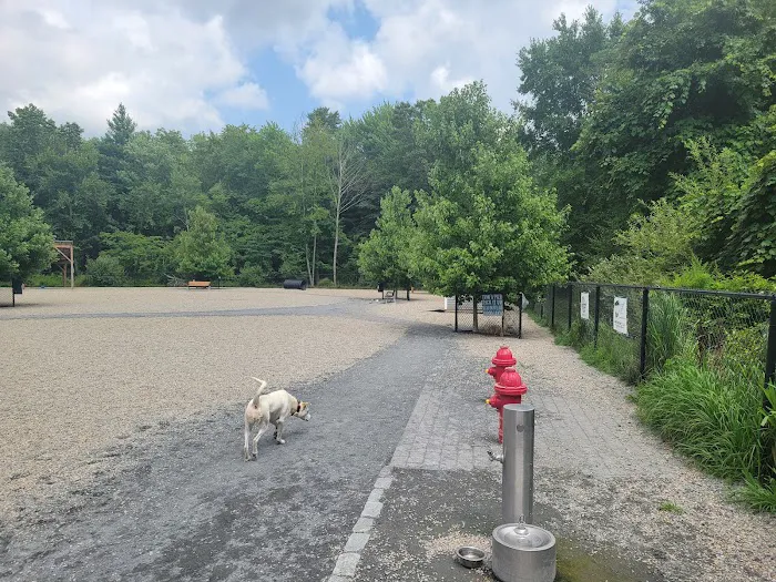 Abington Dog Park 6