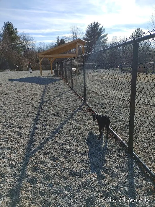 Abington Dog Park 2