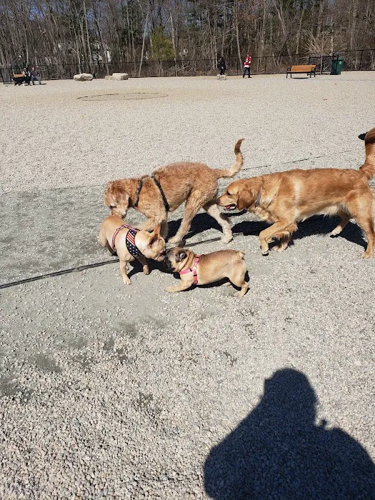 Abington Dog Park 1