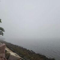 Harbor Point Dog Park ico