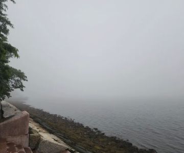 Harbor Point Dog Park