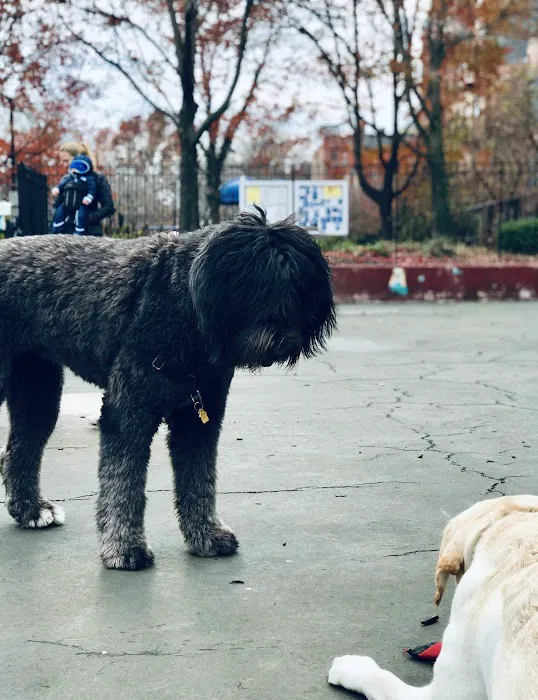 Carleton Court Dog Park 3