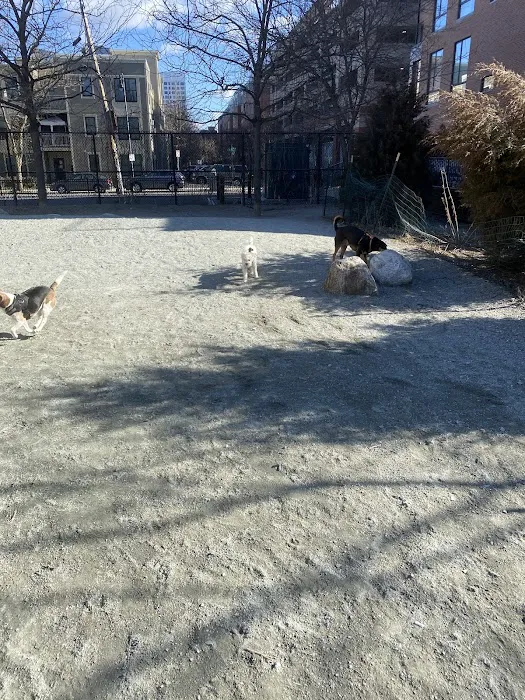 Tudor Dog Park 3