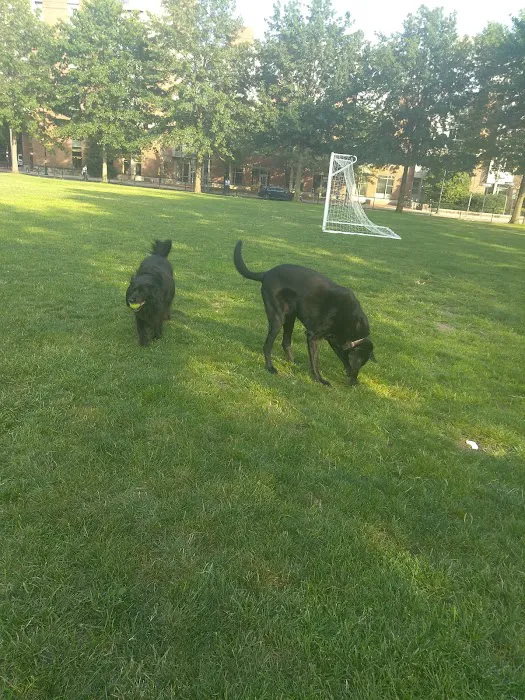 Tudor Dog Park 7