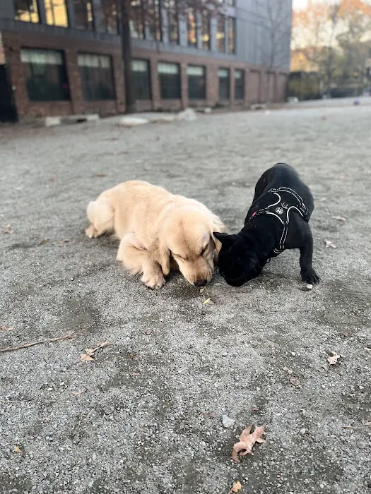 Tudor Dog Park 9