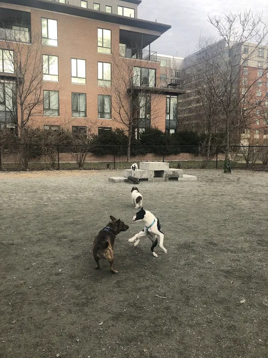 Tudor Dog Park 4