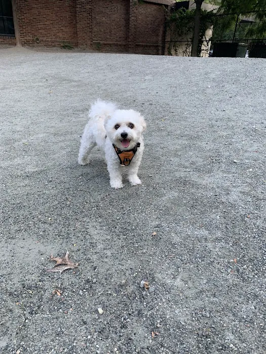 Tudor Dog Park 10