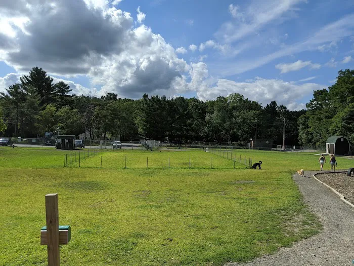 Chelmsford Dog Park 6