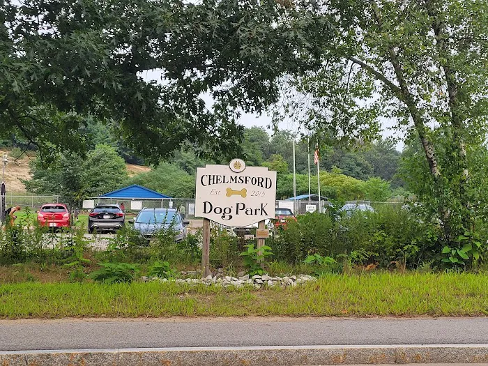Chelmsford Dog Park 10