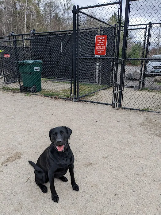 Nashua Dog Park - Membership Required 1