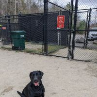 Nashua Dog Park - Membership Required ico