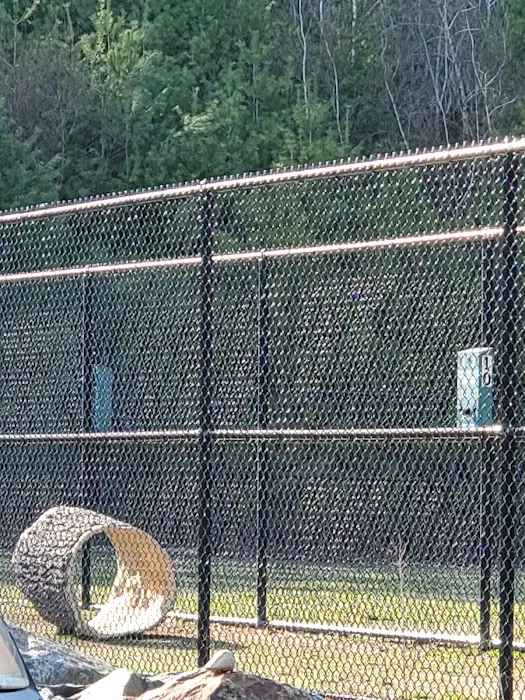 Nashua Dog Park - Membership Required 4