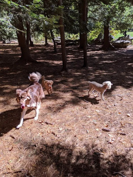 Nashua Dog Park - Membership Required 9
