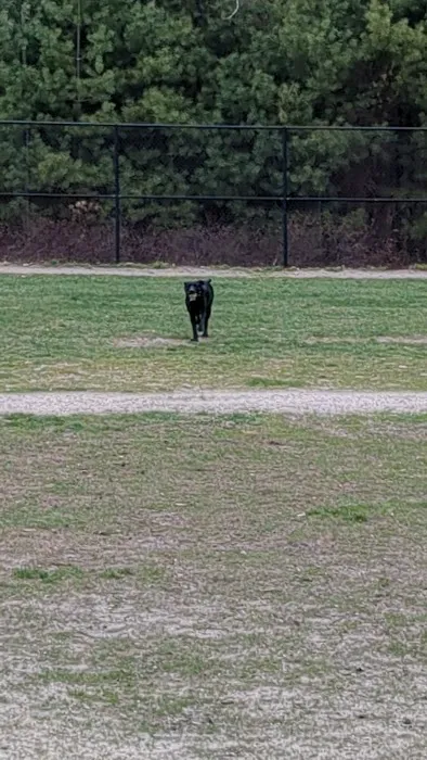 Nashua Dog Park - Membership Required 6